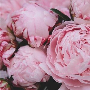 Meet your Posher, Stacey